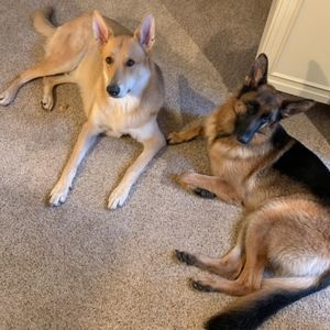 Meet your Posher, Christine